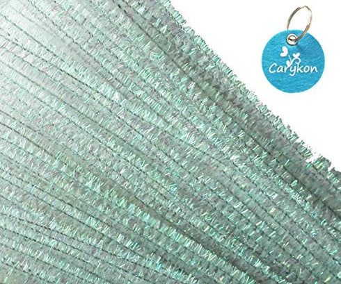 Carykon 100 PCS 12 Inch Iridescent Sparkly Tinsel Stems Pipe Cleaners (White)