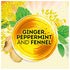 Lipton Soothe Your Tummy Herbal Supplement Tea Bags For a Soothing Hot Beverage Ginger Peppermint and Fennel Caffeine Free Tea Blend 15 Count