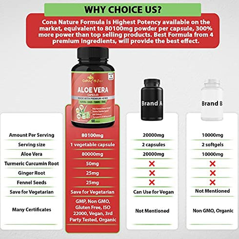 Organic Aloe Vera Extract Capsules Equivalent to 80100MG & Turmeric, Ginger, Fennel| Support Immune, Digestion| Natural Anti-Inflammatory, Antioxidants| Multi Nutrients, Vitamins, Minerals Supplement