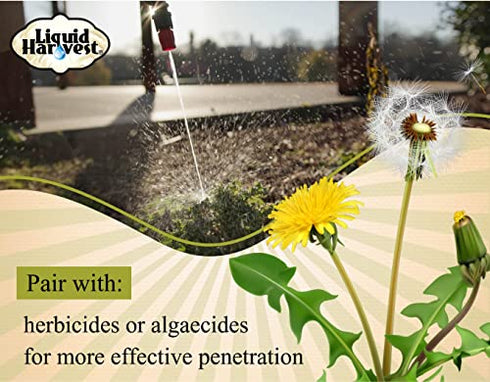 Concentrated Surfactant for Herbicides Non-Ionic 8oz, Increase Product Coverage, Increase Product Penetration, Increase Product Effectiveness