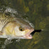 25 Piece Crappie jig Head Fishing Hook with Feather Fly Fishing Marabou jig Hooks 1/32 oz 1/16 oz 1/8 oz Assortment
