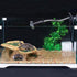 Tfwadmx Bearded Dragon Basking Platform, Resin Reptile Climbing Shale Step Ledge Ramp Rock Hideout Cave Terrarium Landscape Hiding Spot for Turtle Lizard Leopard Gecko Snake Chameleon Frog