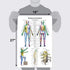 Palace Learning Dermatomes & Nervous System Anatomical Chart - Dermatomes Anatomy Poster