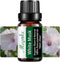 White Musk Essential Oil for Diffuser for Home Office Bedroom Bathroom Study Living Yoga Spa Large Room Outdoors-10ml