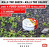 Ant Killer by Ortho Home Defense 4+1Pk|Metal Ant Traps Indoor & Ant Killer Outdoor | Ant Killer Indoor Safe for Pets and Kids |Effective Ant Trap & Ant Bait Indoor Ant Killer | Ants Killer for House