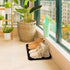 Home-Man Pet Food Tray - Dog Food Mat and Cat Food Mat - Pet Water Bowl Mat for Containing Spills, Waterproof Boot Tray Mat - Shoe Tray Mat (Set of 1)