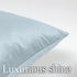 lalaLOOM Luxurious Silky Velvet Pillow Covers, Set of 2, Softest Decorative Throw Pillowcases, Hidden Zipper, Washable, Home D©cor Accent Cases for Living Room Couch, Sofa, Bedroom, 16x16, Light Blue