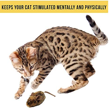 OurPets Play-N-Squeak Mouse Hunter Cat Toy (Interactive Cat Toy & Catnip Toy with Real Mouse Electronic Sound Catnip Toys for Cats) Perfect Cat Toys for Indoor Cats with Catnip)