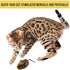 OurPets Play-N-Squeak Mouse Hunter Cat Toy (Interactive Cat Toy & Catnip Toy with Real Mouse Electronic Sound Catnip Toys for Cats) Perfect Cat Toys for Indoor Cats with Catnip)