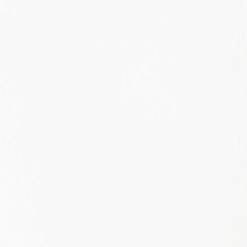 Liquitex 220727 Basics Acrylic Paint, 13.5-oz Bottle, Titanium White, 13 Fl