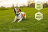 Downtown Pet Supply - Citronella Dog Collar - Humane No-Bark Collar Set with Citronella Spray - Rechargeable, No-Shock Bark Collar - Collar, Spray Device, Citronella Spray, USB Charger & Manual