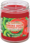 Smoke Odor Exterminator 13oz Jar Candle, Kiwi Twisted Strawberry