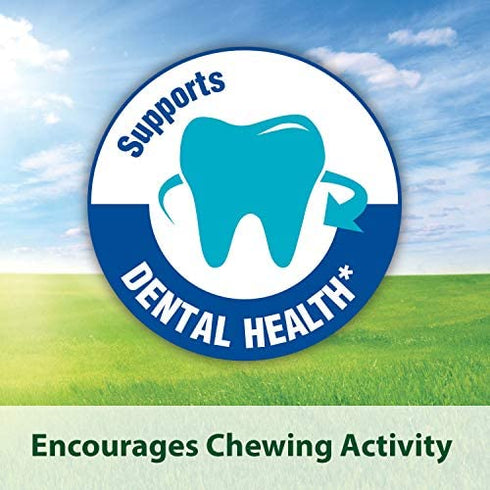 Kaytee Timothy Biscuits Baked Carrot Treat, 4-Oz Bag