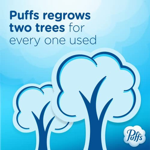 Puffs Plus Lotion Facial Tissues, 1 Family Box, 124 Tissues per Box