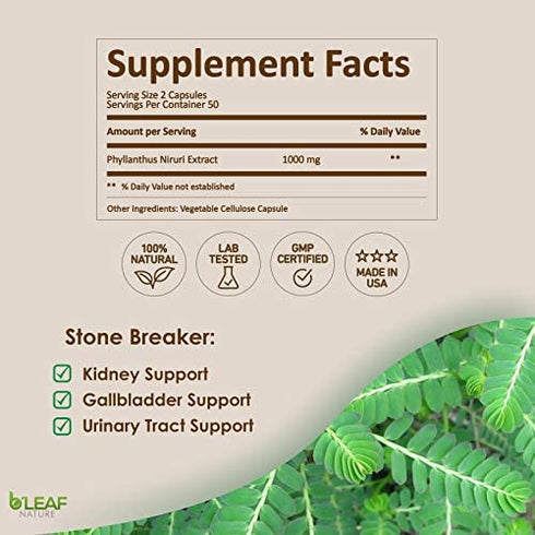 Stone Breaker Chanca Piedra Extract 1000mg - Urinary Tract and Gallbladder Support - 100 Vegetarian Capsules by B’Leaf Nature