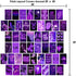 WOONKIT Purple Wall Collage Kit Aesthetic Pictures, Wall Decor for Bedroom Aesthetic, Photo Wall Collage, Room Decor for Teen Girls, Purple Wall Decor, Collage Kit, Trendy Teen, 50PCS 4x6 INCH