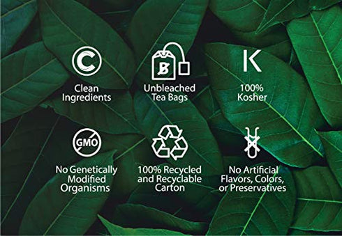 Buddha Teas Organic Wormwood Tea - OU Kosher, USDA Organic, CCOF Organic, 18 Bleach-Free Tea Bag