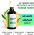 Green Tea Extract - 1000mg - 50% EGCG - Green Tea Liquid Drops, 4x more Powerful than Pills & Capsules - 2oz. Antioxidant & Immune Supplement - Vegan Skin & Heart Support + Brain Health & Memory Boost