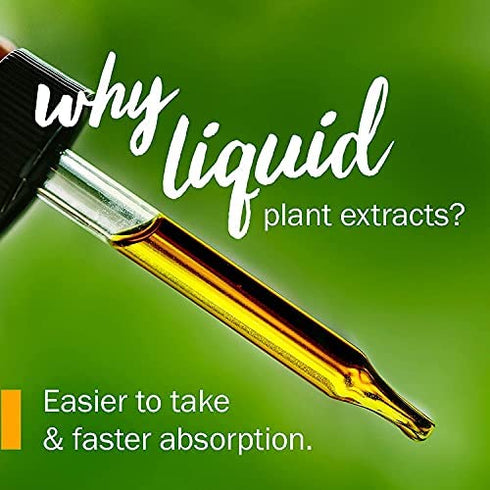 Herb Pharm Certified Organic Astragalus Liquid Extract for Immune System Support - 1 Oz