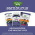 Nature’s Way Sambucus Elderberry Gummies, Immune Support Gummies*, Black Elderberry with Vitamin C and Zinc, 60 Gummies