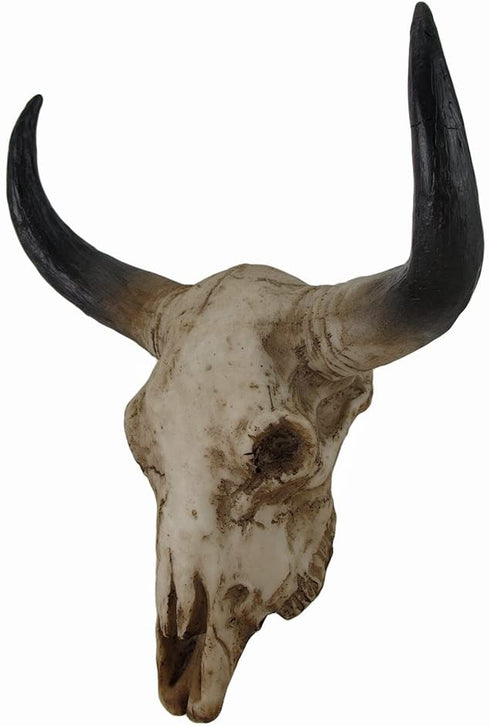 Mayrich Southwestern Steer Skull Wall Sculpture