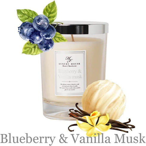 Aronica Scented Candle Gift Set 3 Pack , Soy Wax Candle Set, Aesthetic Gift for Home, Mom,Women, Valentines Day, 3.52oz x 3, Midnight Jasmine, Bamboo Garden, Blueberry Vanilla Scented Candles,