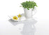 Villeroy & Boch New Wave Cafe Large Party Plate, 8.5 x 6.5 in, White