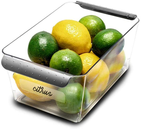 madesmart Deep Bin - Fridge & Pantry Multi-Purpose, Soft-Grip Handles, Non-Slip Feet & BPA-Free, Small, Grey