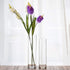 WGV Cylinder Vase, 3" W x 10" H, Clear Bud Skinny Narrow Glass Candle Holder Planter Terrarium for Wedding Party Flowers Centerpieces Home Office Decor, 1 Piece