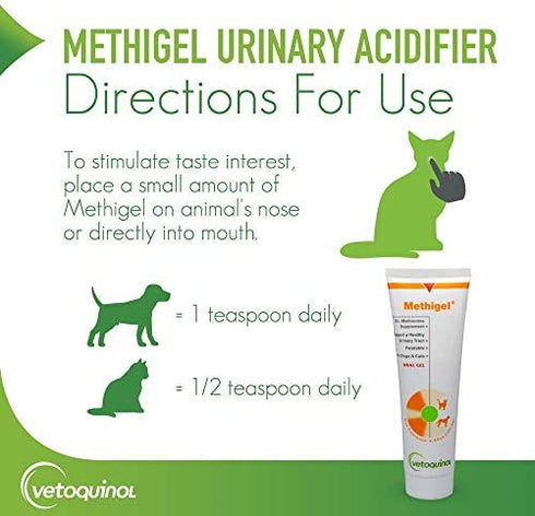 Methigel Urinary Acidifier 4.25 Oz Tube