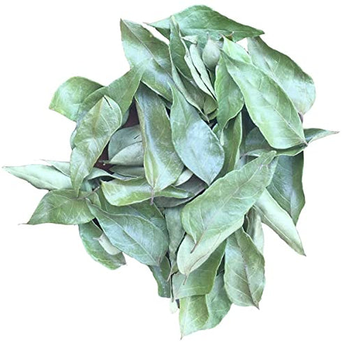 Ceylonflavors Curry Leaves Gluten Free Naturally Air Dried Herbs Fresh Groceries with All Flavors Asian Food Spices Pure and Organic - Kari Patta 0.5 oz / 15 g