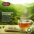 Celestial Seasonings Holiday Herbal Tea, Gingerbread Spice, 20 Count