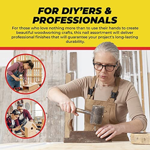 Qualihome Hardware Nail Assortment Kit, Includes Finish, Wire, Common, Brad and Picture Hanging Nails