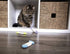 SmartyKat (9 Count Fish Flop Crinkle Catnip Cat Toys - Multi Color, 9 Count