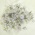 100 Pcs Bedskirt Pins, Twist Pins with Clear Heads, Bed Skirt Pin for Hold Slipcovers and Bedskirts Decoration