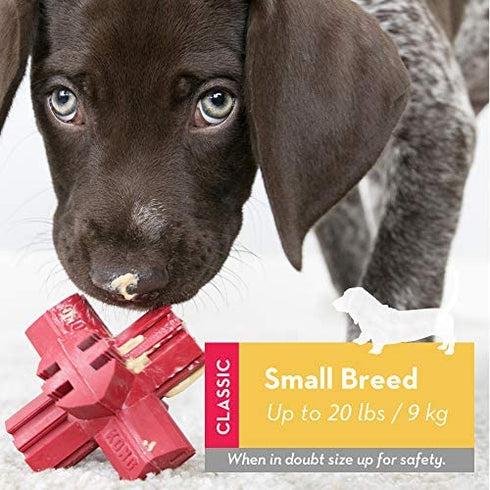 KONG - Jump'N Jack - Durable Rubber Dog Toy for Chewing and Teeth Cleaning - for Small Dogs