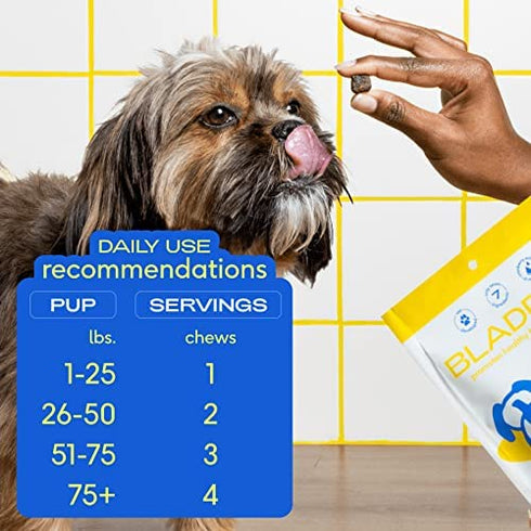 Native Pet Dog UTI Treatment | Cranberry Chews for Dogs and Cat UTI | Bladder Control for Dogs | Dog Urinary Tract Infection Treatment | UTI Medicine for Dogs | Dog Cranberry Supplement | 60 Chews