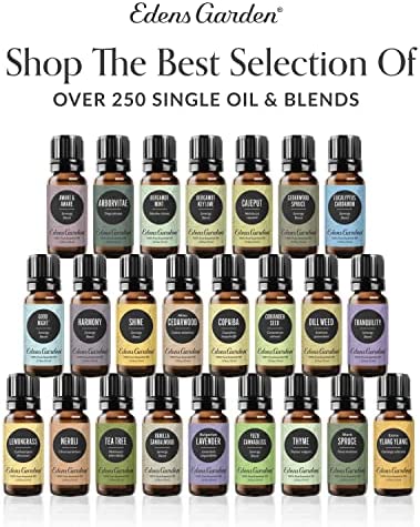 Edens Garden Helichrysum- Gymnocephalum Essential Oil, 100% Pure Therapeutic Grade (Undiluted Natural/ Homeopathic Aromatherapy Scented Essential Oil Singles) 10 ml
