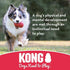 KONG - Flyer - Durable Rubber Flying Disc Dog Toy - for Large Dogs