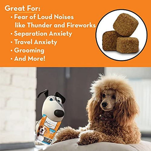 ThunderWunders Dog Calming Chews | Thiamine, L-Tryptophan, Melatonin and Ginger | Can Help Relieve Stress from Separation, Storms, Fireworks & Travel (60 Count)