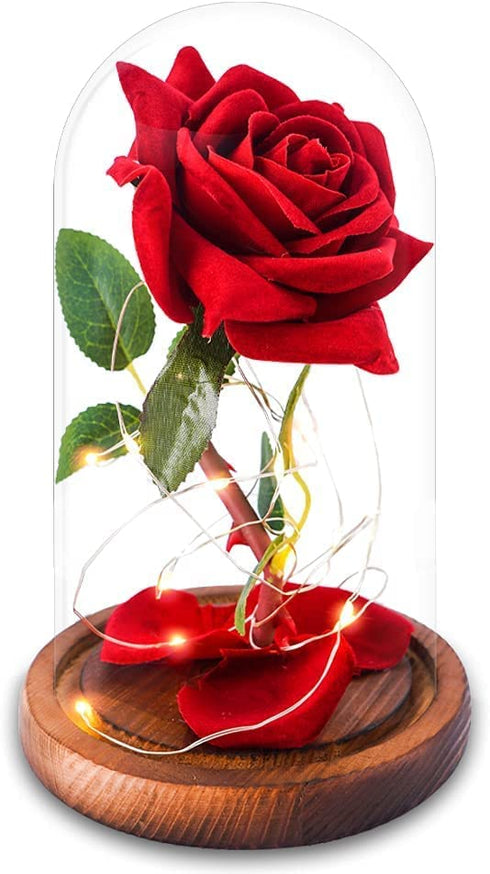 Beauty and The Beast Rose ,Red Silk Rose with Fallen Petals in Glass Dome on Wooden Base,Graduation Gift,Birthday Gifts?Valentine's Day ,Anniversary ,Christmas