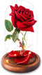 Beauty and The Beast Rose ,Red Silk Rose with Fallen Petals in Glass Dome on Wooden Base,Graduation Gift,Birthday Gifts?Valentine's Day ,Anniversary ,Christmas