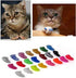 JOYJULY Soft Cat Kitty Nail Caps Claws Covers for Cats Paws Grooming Claw Care, 100pcs 4 Size of 1 Glitter Shinning & 4 Solid Colors & 5 Glues (M)
