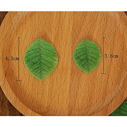 GEORLD 24Pcs Edible Cake & Cupcake Toppers Green Leaves Decoration …