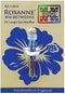 Colonial Needle Roxanne Betweens Large Eye Needles - Size 10 (50 Count)