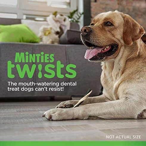Minties Twists VetIQ Dog Dental Bone Treats, Dental Chews for Medium/Large Dogs (Over 40 Lbs), 20 Count
