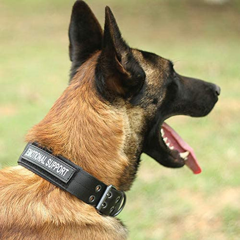 Excellent Elite Spanker 2 Pcs Magic Sticker Morale Patch Reflective Emotional Support Patch in Training Puppy for Dog Harnesses & Vests