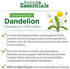Animal Essentials Liver Defense Liver Support for Dogs & Cats, 1 fl oz - Made in USA, Dandelion & Milk Thistle