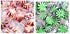 Coastal Bay Confections 1 (3 oz.) Each Sugar Free Bag Starlight Mints With Natural Spearmint Oil and Starlight Mints with Real Peppermint Oil | Holiday Green and Red Candy Variety Mix
