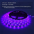 SHGPODA 33ft LED Black Light Strip Kit, 600 Units, 385nm-400nm, 12V Flexible Blacklight Fixtures, 10M LED Ribbon, Non-Waterproof for Indoor, Birthday, Wedding, Dark Party, Halloween, Christmas